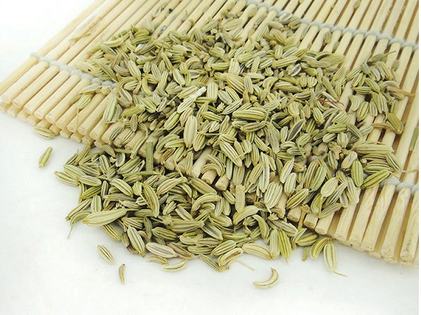 Fennel