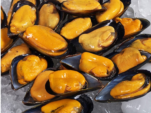 Mussel meat