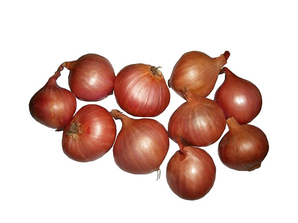 fresh onion