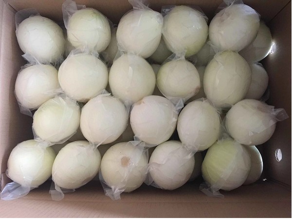 fresh peeled onion