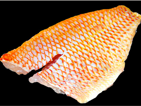 Red Tilapia Block