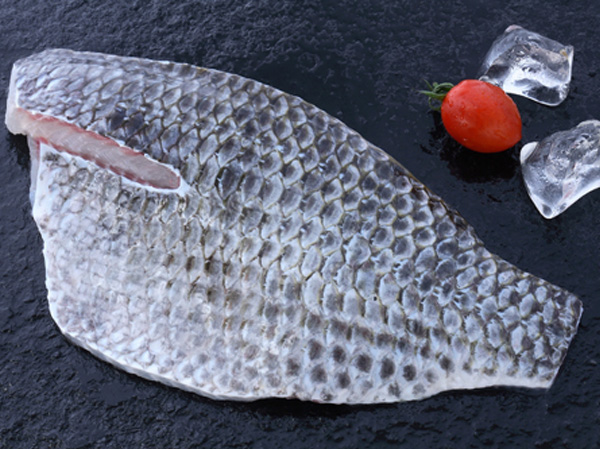 Tilapia Fillet,Skin On